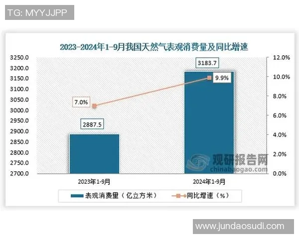 LNG反击策略深度分析与市场前景展望